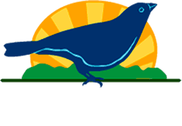 Cachaça Sanhaçu